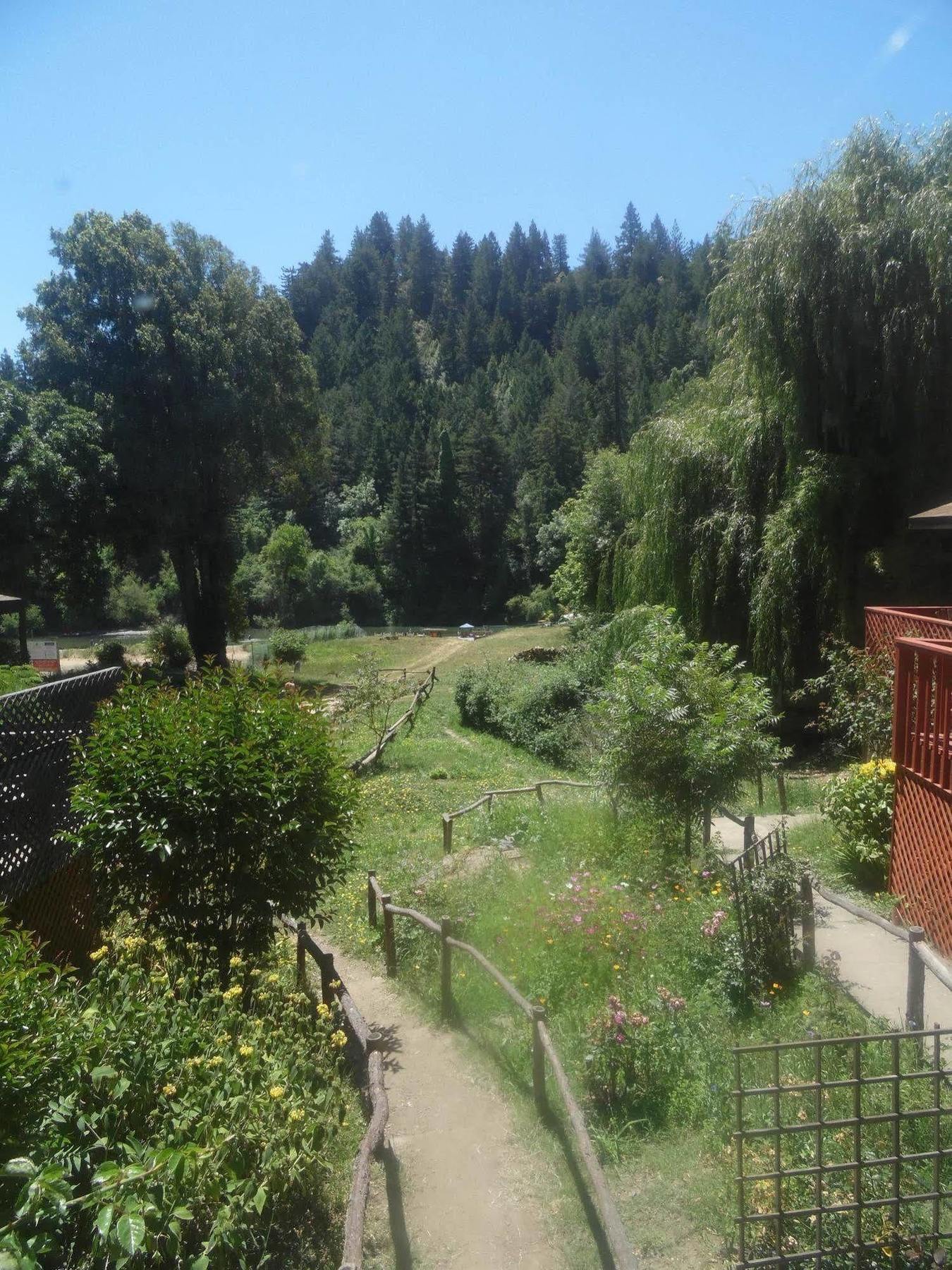 Riverlane Resort Ґернвілл Екстер'єр фото